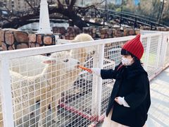 -J Create城市露营咖啡·简餐·宠物(上海动物园店)