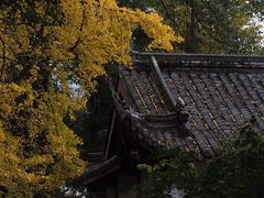 -成都市文殊院