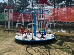 -合肥滨湖国家森林公园