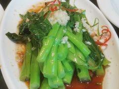白灼广东菜心-新吉阳酒店(檀溪路店)