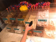 -杭州开元森泊度假乐园