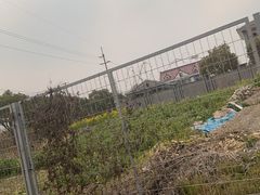 -君之狮子山·轻糖烘焙(松江印象城店)