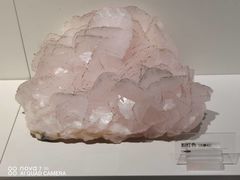 -重庆自然博物馆(新馆)