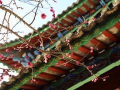 -黑龙潭公园