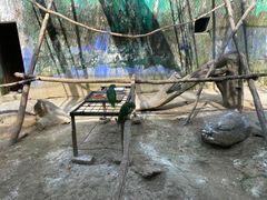 -杭州野生动物世界