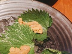 -月龍吟(朝龙汇店)