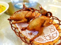 -有腥气私房菜·寻味顺德