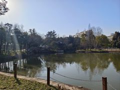 -瀛洲公园