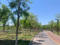 -天津东丽湖风景区