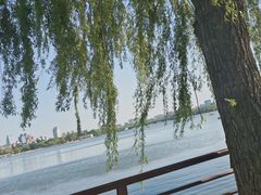 -长春市南湖公园