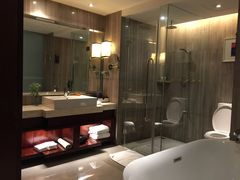 -常州环球恐龙城维景国际大酒店