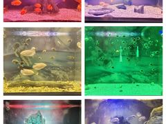 -常州海昌海洋探索馆