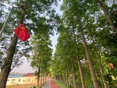 -上海长兴岛郊野公园