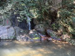 -莫干山风景区