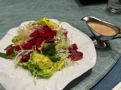 蔬果沙拉-凤凰园烤鸭店·唐山菜·传承花椒肉(老唐丰路店)