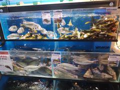 水产区-盒马鲜生(曜一城店)