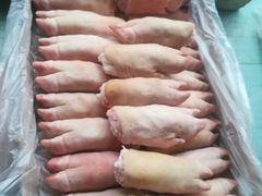 -海霸王西部食品物流园区(阳光北路)