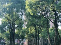 -重庆市江北嘴中央商务区中央公园