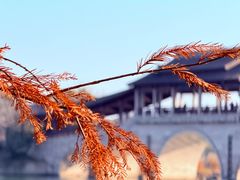 -长广溪湿地公园