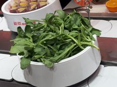 -龍歌自助小火锅(雨花台江南虹悦城店)