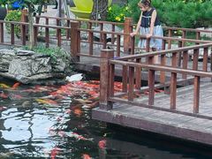 -顺德渔村·岭南一号