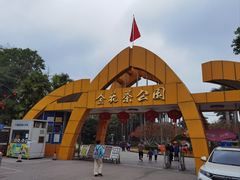 -金花茶公园