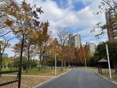 -大宁公园