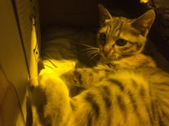 -在路上酒吧(大理古城店)