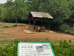 -合肥野生动物园