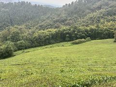 -敬亭山风景名胜区