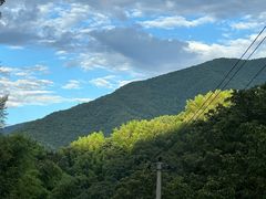 -东天目山风景区