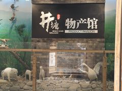 -井塘古村