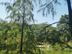 -广州市白云山风景名胜区