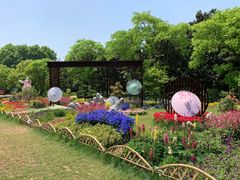 -上海共青森林公园