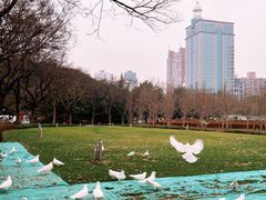 -人民广场