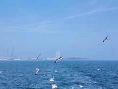 -良友·地标海鲜青岛菜(五四广场店)