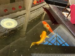 -唐山河头老街国丰维景国际大酒店