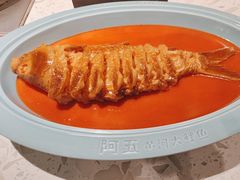 -阿五黄河大鲤鱼(英协路店)