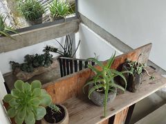 -翠田Green Field Kitchen