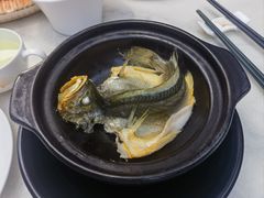 -菉雅苑·湛江菜(前海卓越INTOWN店)