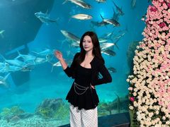 -福州罗源湾海洋世界旅游区