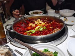 -蛙蛙鸡冷锅鱼(驷马桥店)