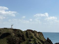 -涉地可支