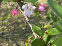 -艾溪湖湿地公园