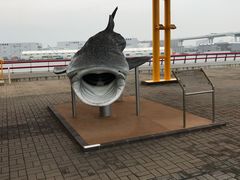 景点-大阪海游馆