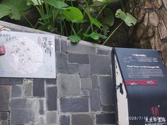 -佛山华盖山公园