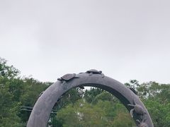 -广东惠东海龟国家级自然保护区