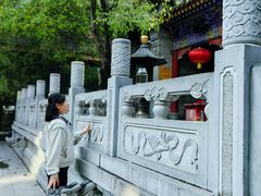 -罔极寺