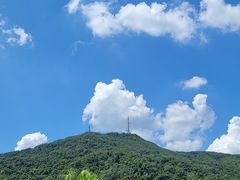 -御景酒店