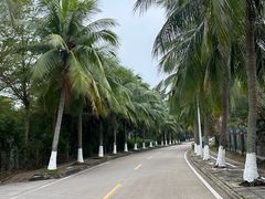 -白沙门生态公园